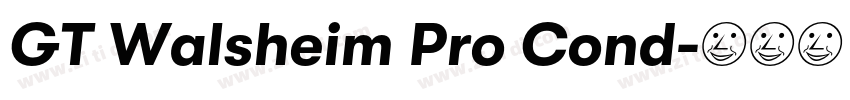 GT Walsheim Pro Cond字体转换
